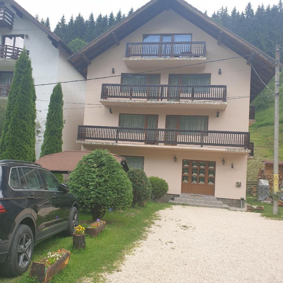Pensiunea Bradul,Moieciu de Sus Moeciu De Sus Exterior foto