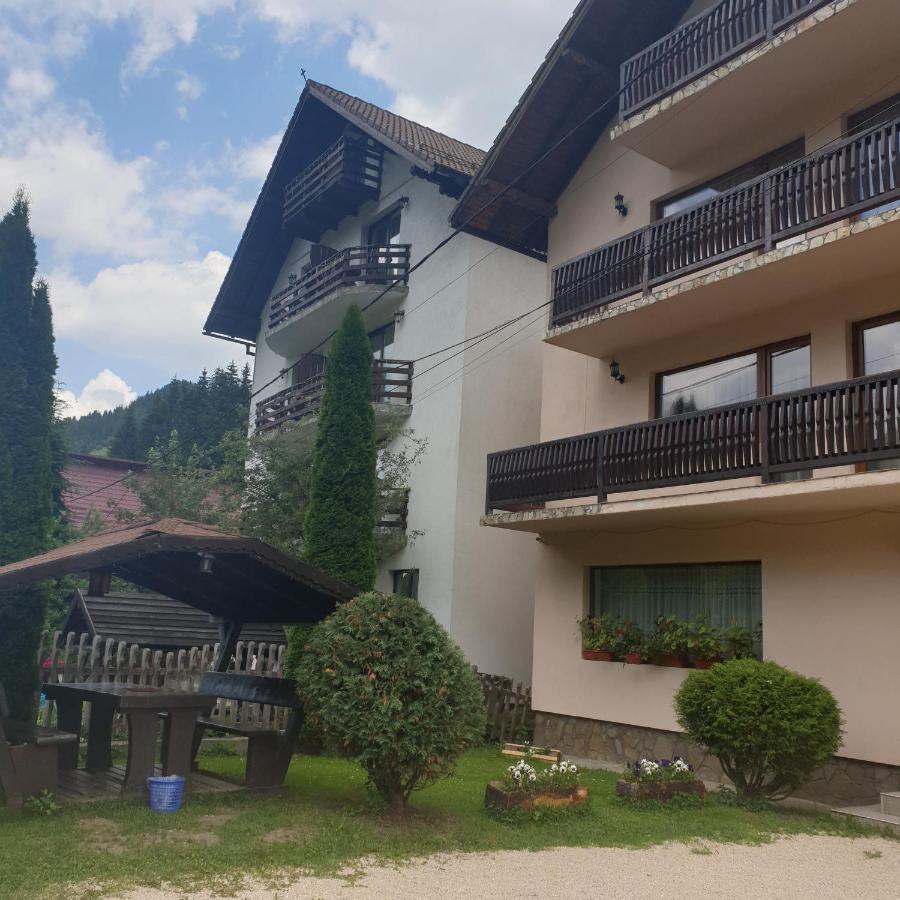 Pensiunea Bradul,Moieciu de Sus Moeciu De Sus Exterior foto
